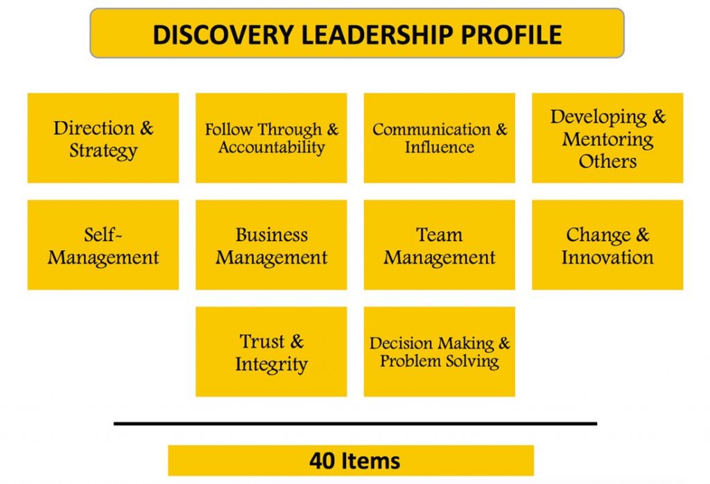 Discovery Leadership Profile Modelo
