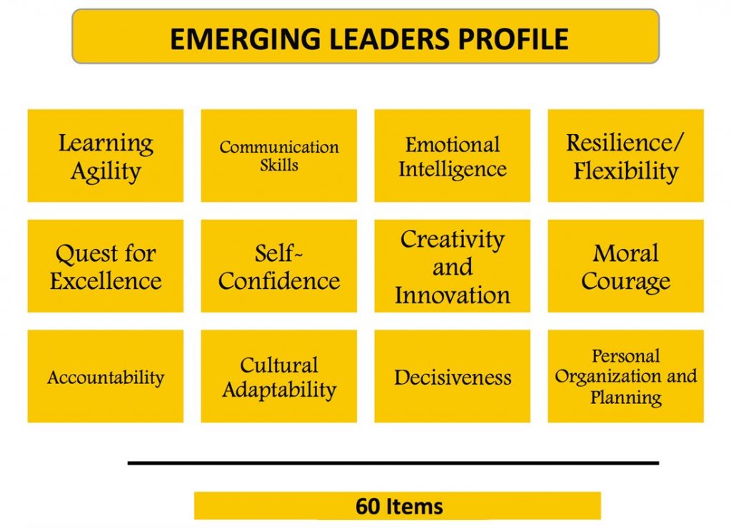 Emerging Leader Profile Modelo