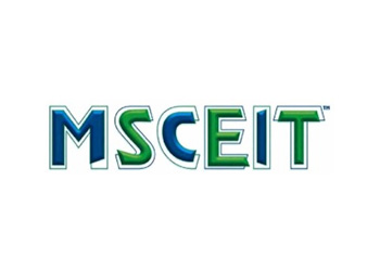 MSCEIT™