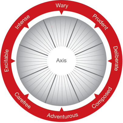 Infográfico Como Funciona o Risk Type Compass